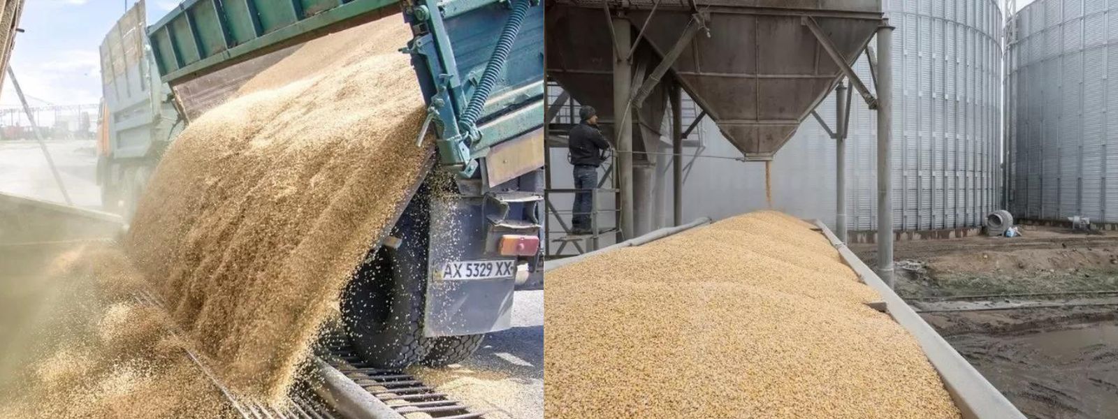 Ukraine grain deal: why is Russia pulling out?